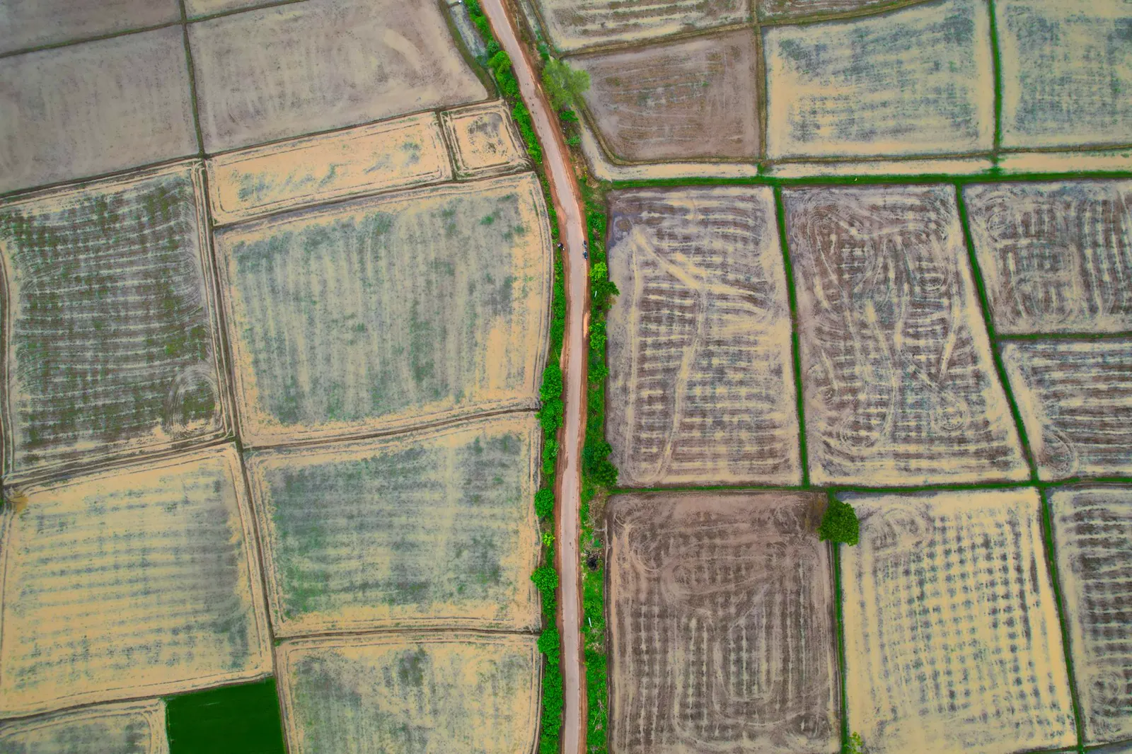 Imagen aérea de parcelas de campo para conteo y detección de cambios con visión artificial
